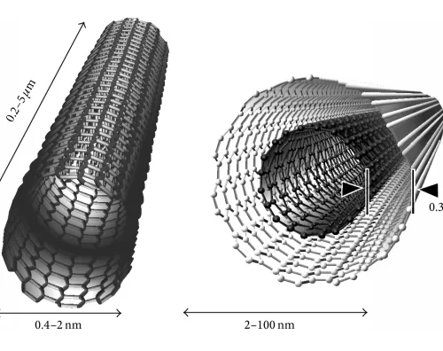 Daños y toxicidad de los nanotubos de carbono-grafeno