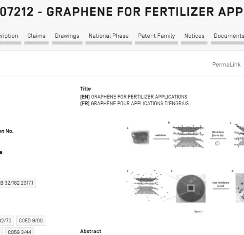 Análisis: Patentes de grafeno para fertilizantes y fitosanitarios: Parte 1. La pseudomonas aeruginosa