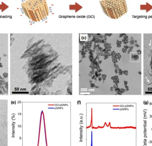 Análisis: Nanopartículas de grafeno orientadas a la entrega de siARN en el cerebro