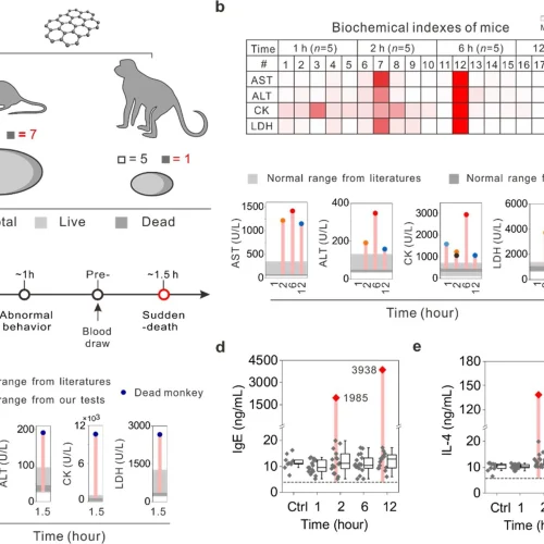 Exposición de la sangre al óxido de grafeno puede causar muerte anafiláctica en primates no humanos