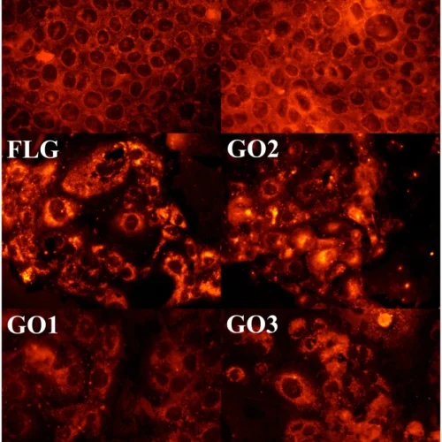 41598_2017_Article_BFsrep40572_Fig5_HTML Ropa con óxido de grafeno