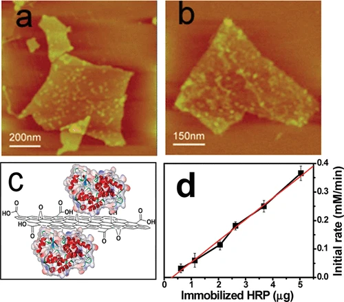 Productos lácteos sin lactosa y el óxido de grafeno ¿Posible causa de la intolerancia a la lactosa?