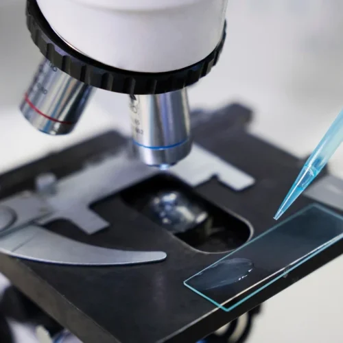 Análisis testimonial de compuestos farmaceúticos / Valparaíso Octubre 2025