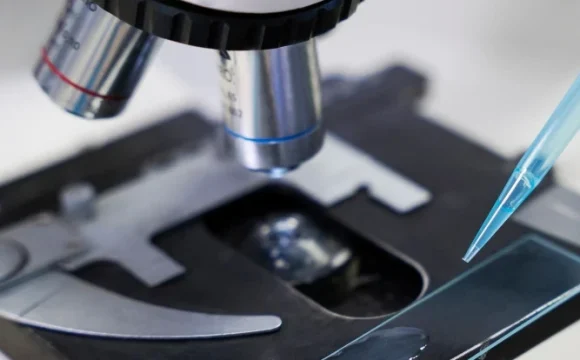 Análisis testimonial de compuestos farmaceúticos / Valparaíso Octubre 2025